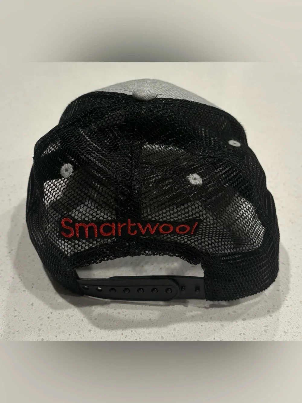 Smartwool Logo Trucker Hat
